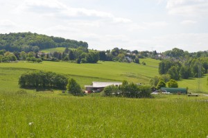 Kuhstall Panorama
